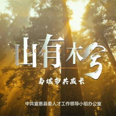 山有木兮，城悦君兮，用专属节日致敬人才，